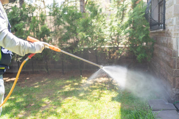 Best Outdoor Pest Control  in Harrington, DE